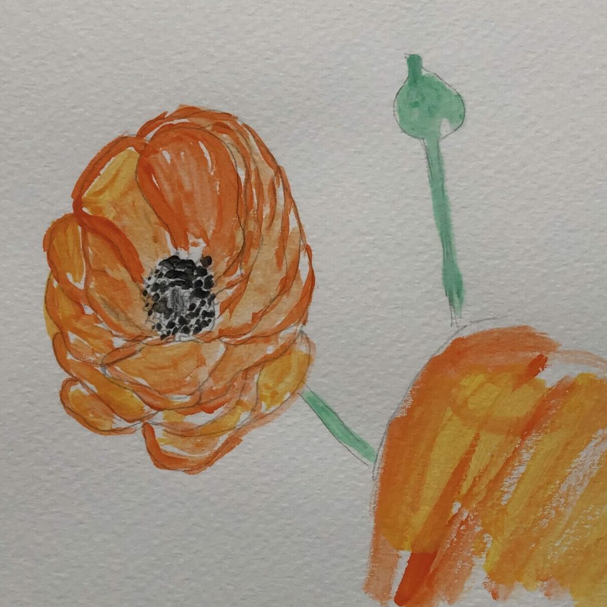 Blume orangefarben